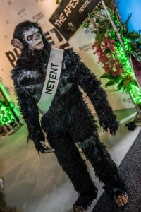 sigma igaming NetEnt celebrates year of achievement with EBR B2B Awards