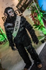 SiGMA iGaming NetEnt player wins big