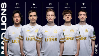 Mad lions