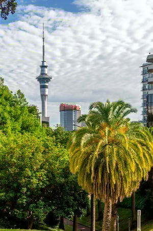 auckland sky tower