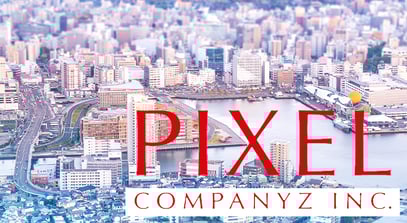 Pixel companyz dd