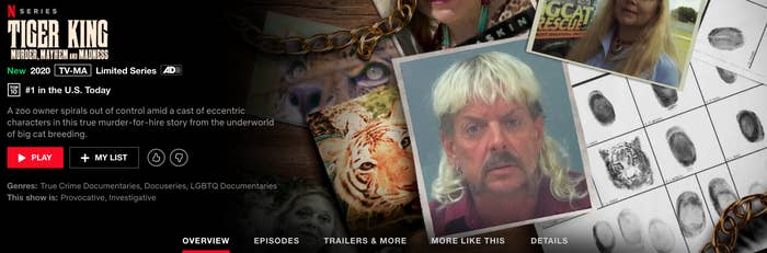 TigerKingNetflix